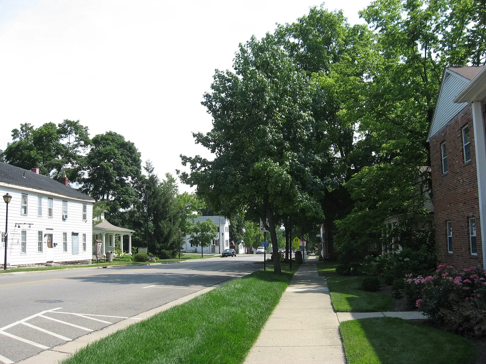 Tree-lined street in the Springboro Historic District, Ohio